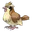 Pidgey