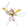 Kartana